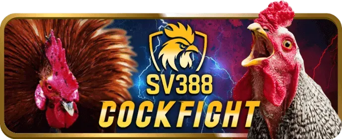 Cá cược có trách nhiệm tại 88qq casino