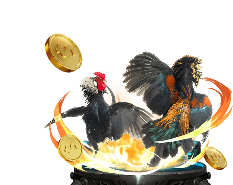 Đá gà Trực tuyến 88qq casino